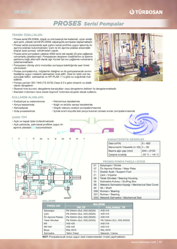 Proses Serisi